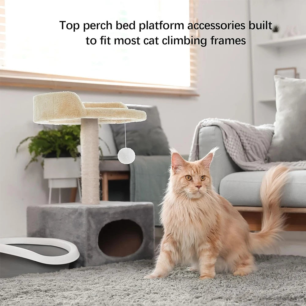 Cat standing on a carpeted floor next to a cat climbing frame with text about top perch bed platform accessories.