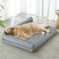 Dog lying on a gray pet bed in a bright room with white curtains.