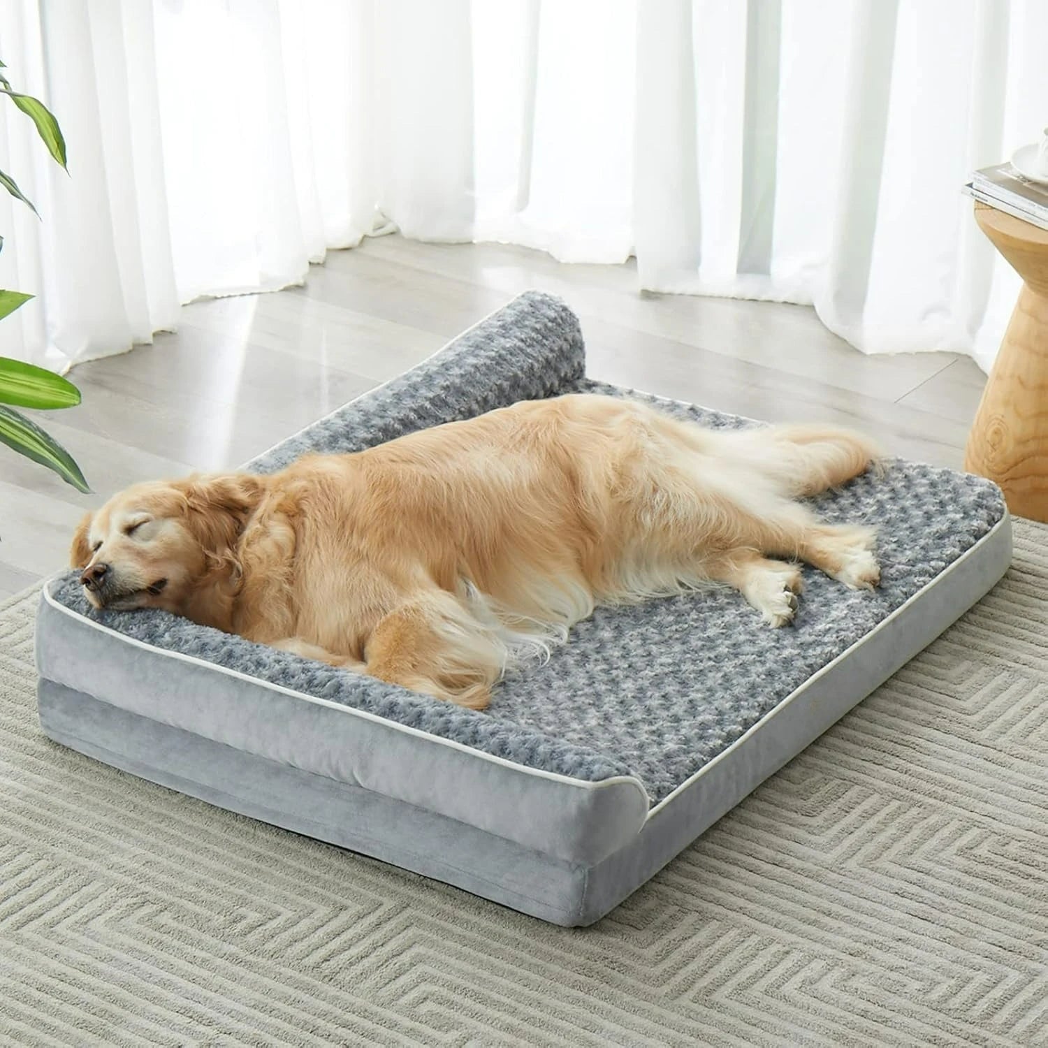 Dog lying on a gray pet bed in a bright room with white curtains.