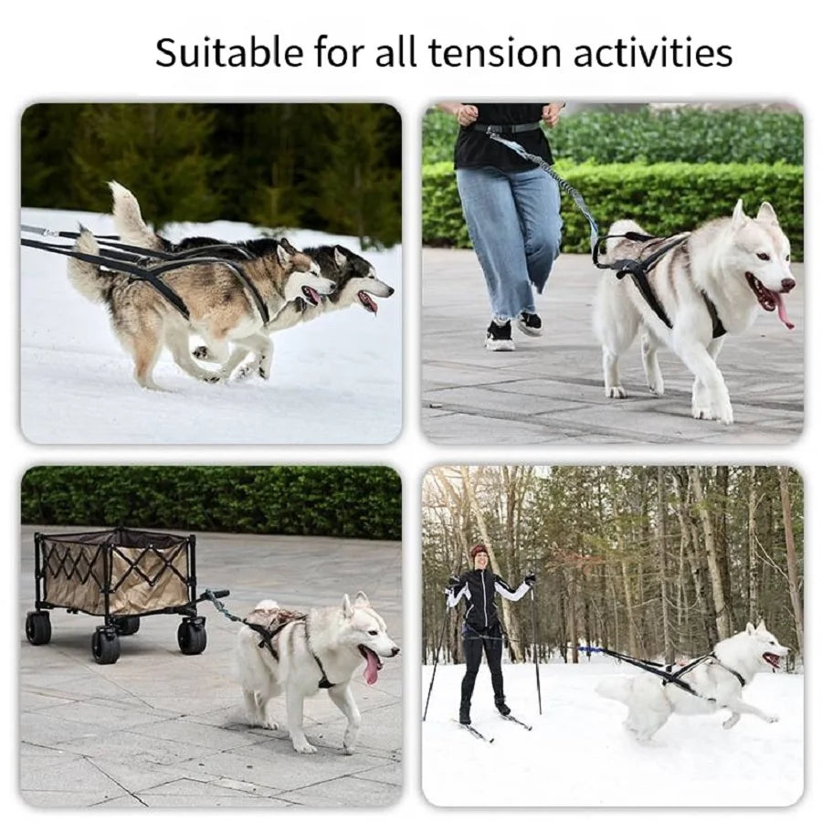 Collage of dogs pulling a cart, being walked on a leash, and skiing with text 'Suitable for all tension activities'.