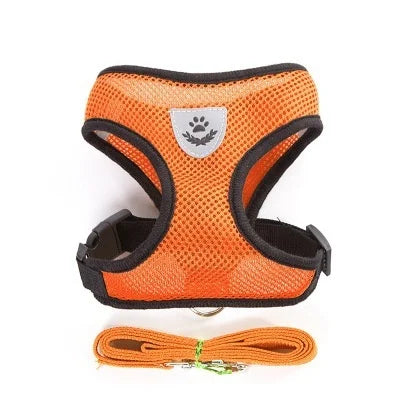 Orange dog harness and leash set on a white background