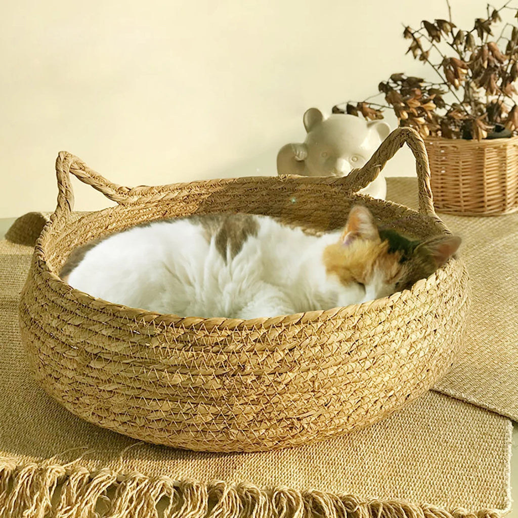 Cat lying in a woven basket on a textured surface with a neutral background