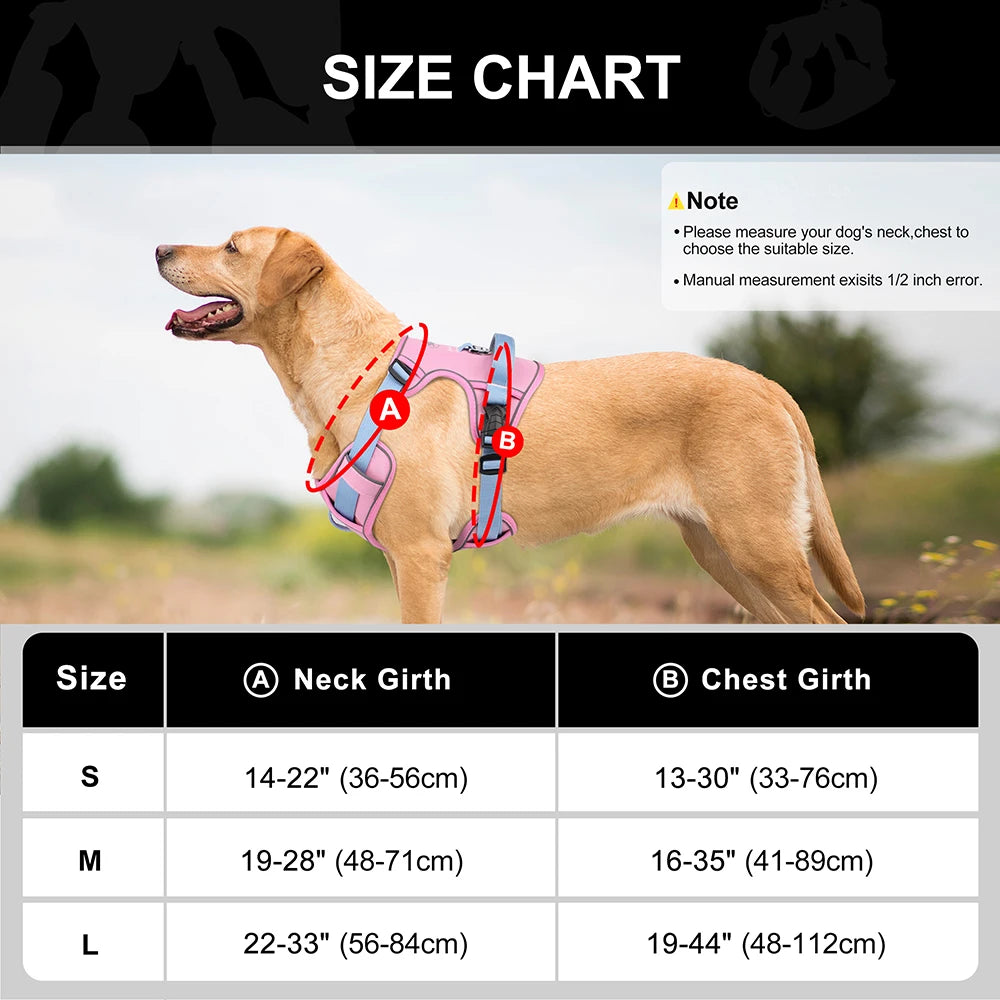 Dog wearing a harness with a size chart overlay