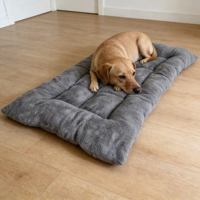 Dog lying on a gray pet bed in a room with wooden flooring.