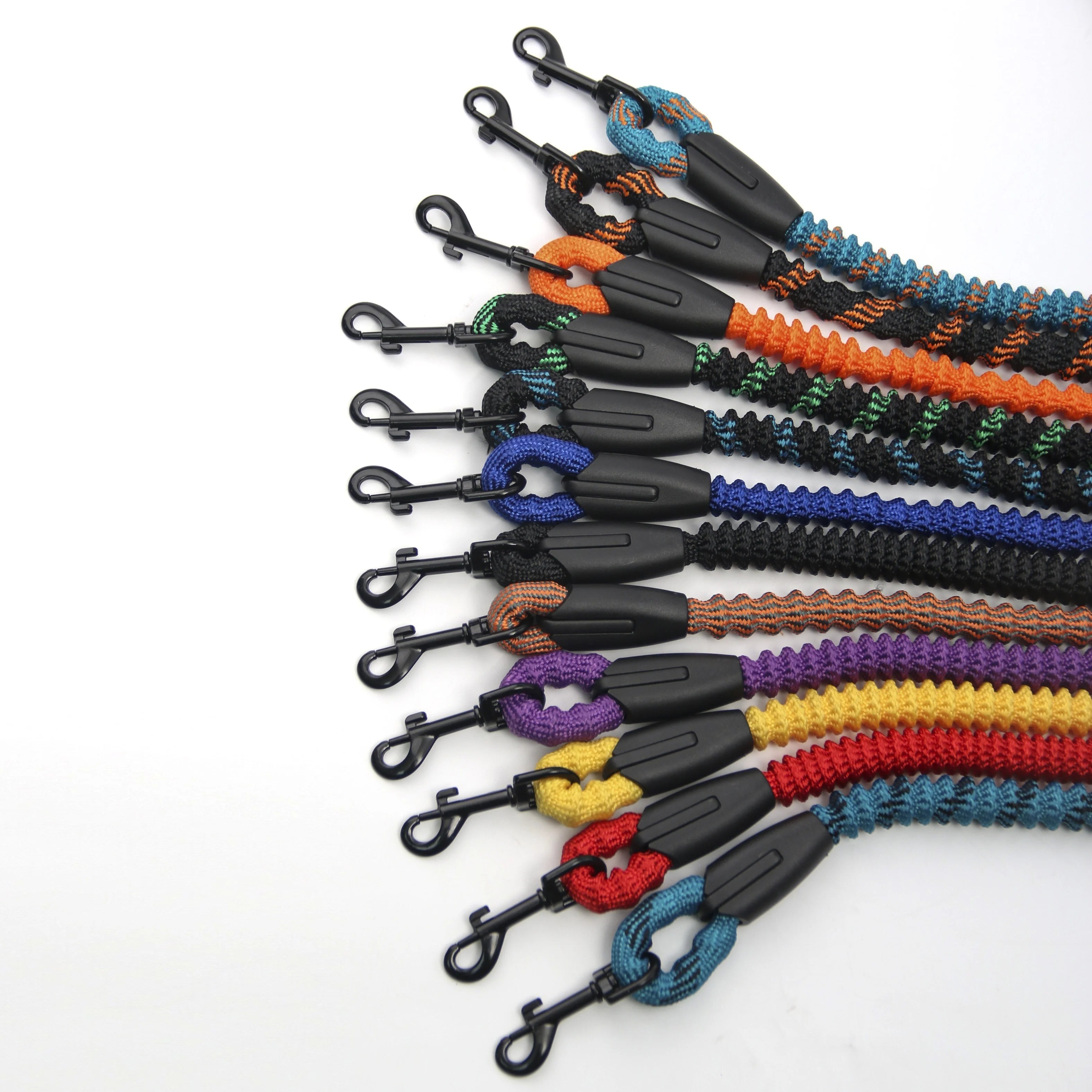 Colorful dog leashes with black plastic clips on a white background