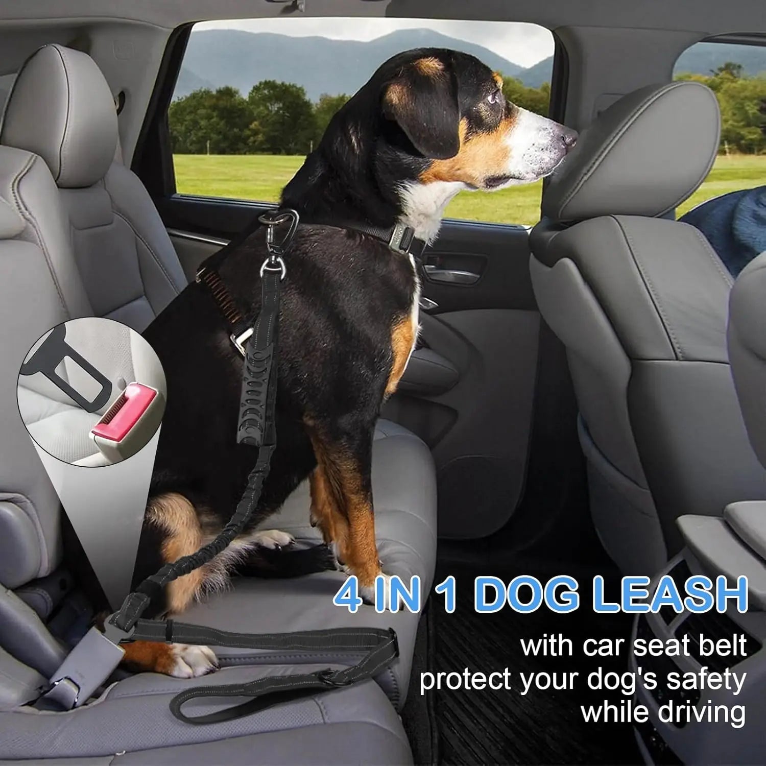 Dog in a car with a 4-in-1 dog leash and car seat belt system.