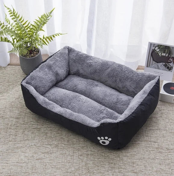 Gray and black pet bed on a carpeted floor with a plant and picture frame in the background.