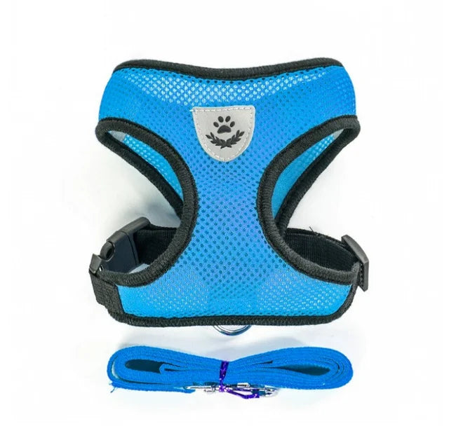 Blue dog harness with black straps on a white background
