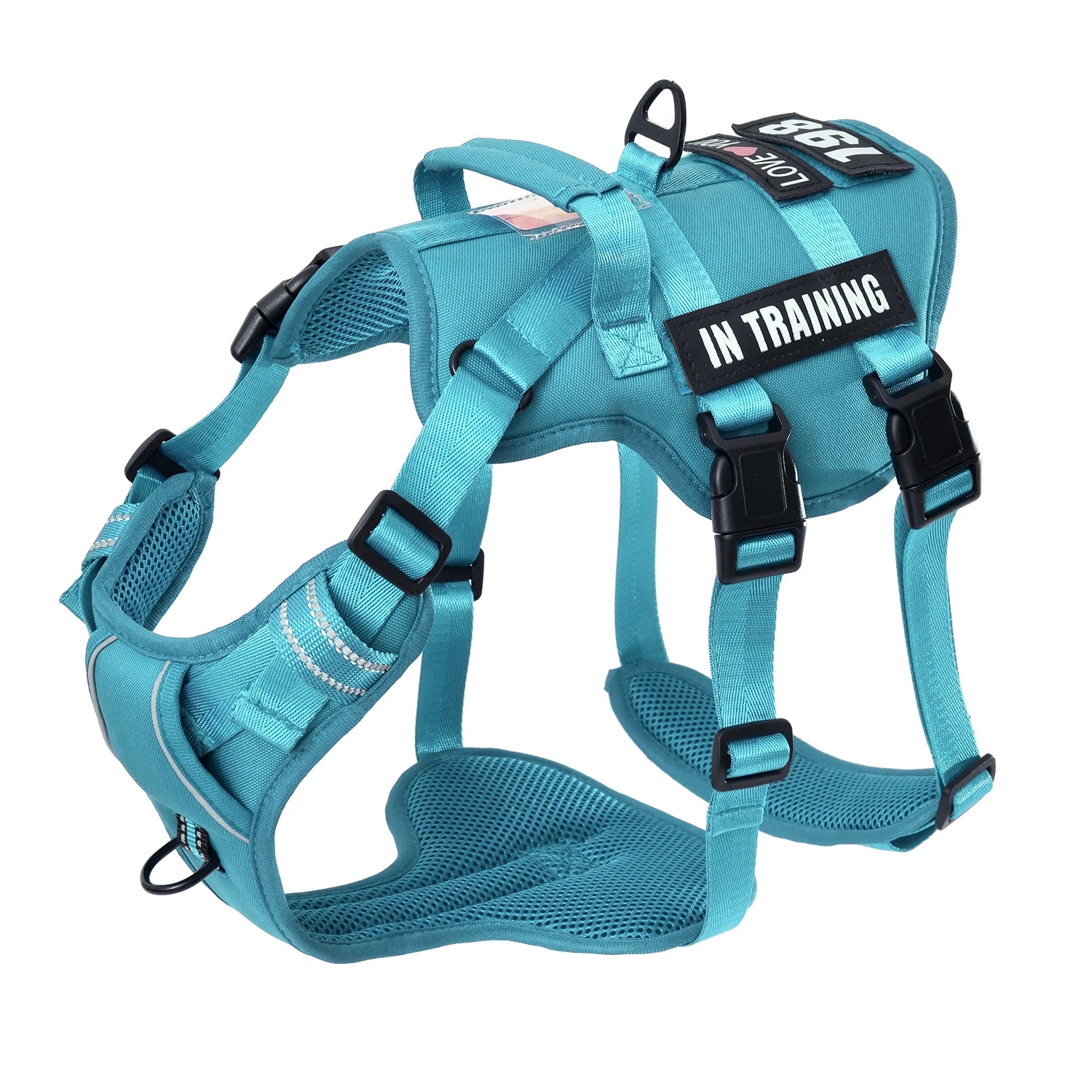 Blue dog harness with 'In Training' label on a white background