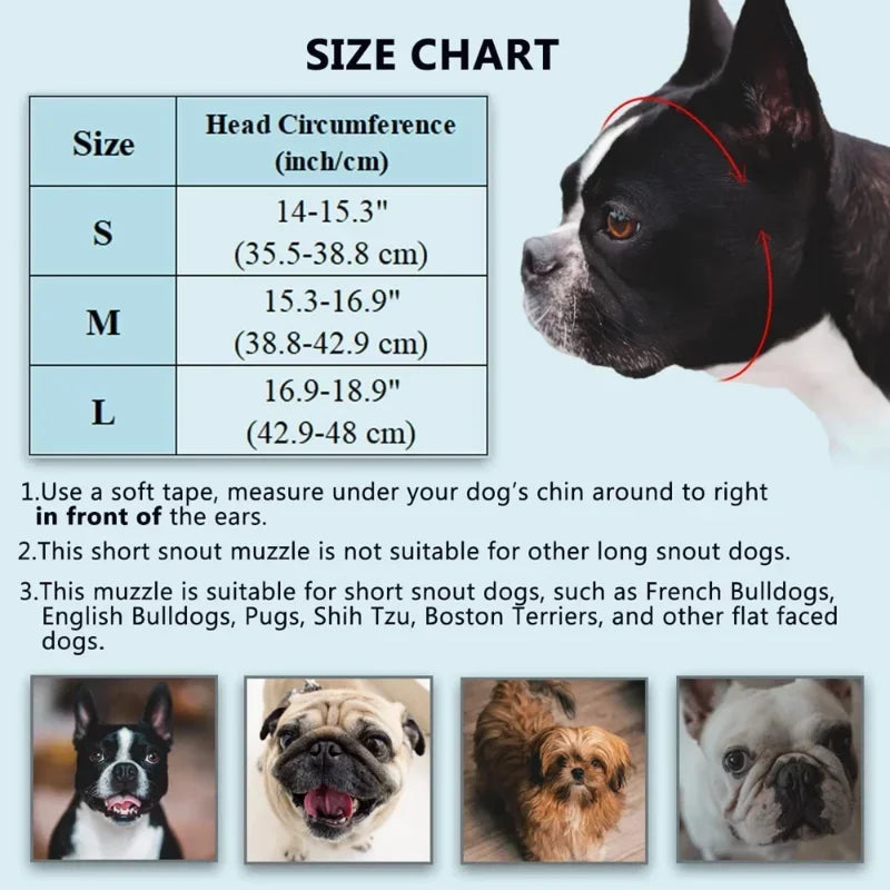 Dog muzzle size chart with measurements and images of dogs