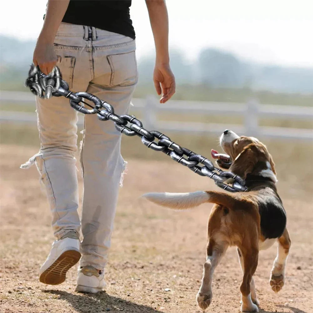 Person walking a dog on a chain leash in an open field