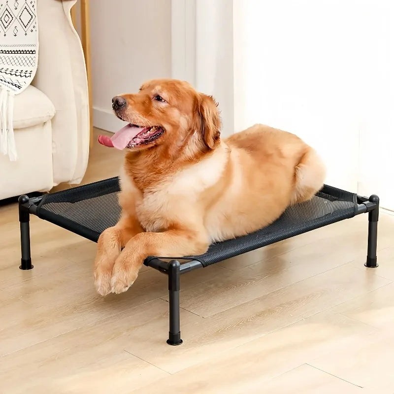Dog lying on a black pet ramp in a living room.