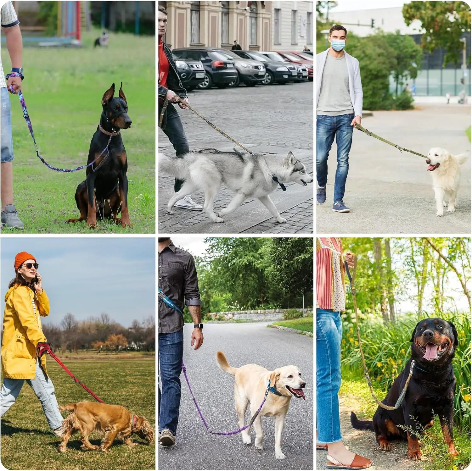 Collage of people walking dogs in various outdoor settings
