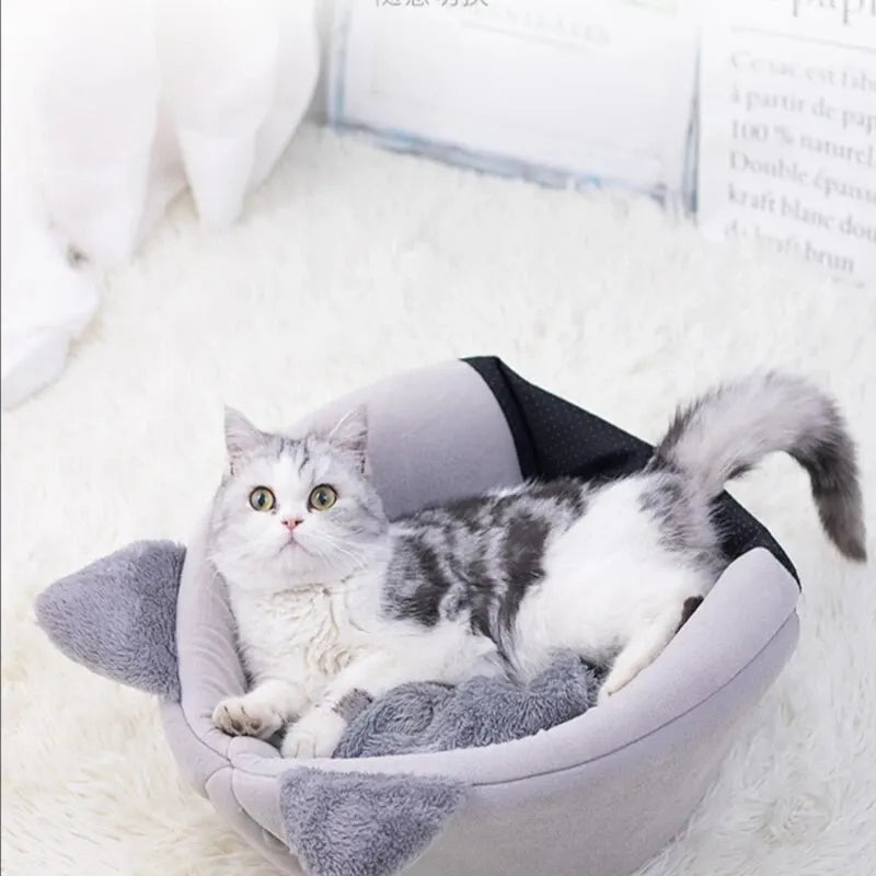 Cat lying on a gray pet bed with a white background