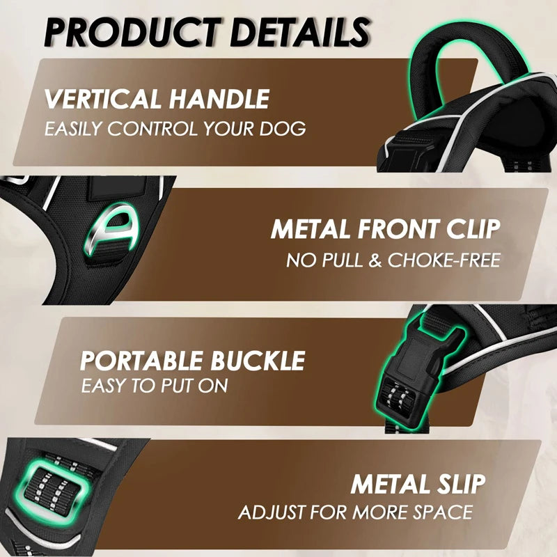 Dog leash product details with features highlighted on a beige background