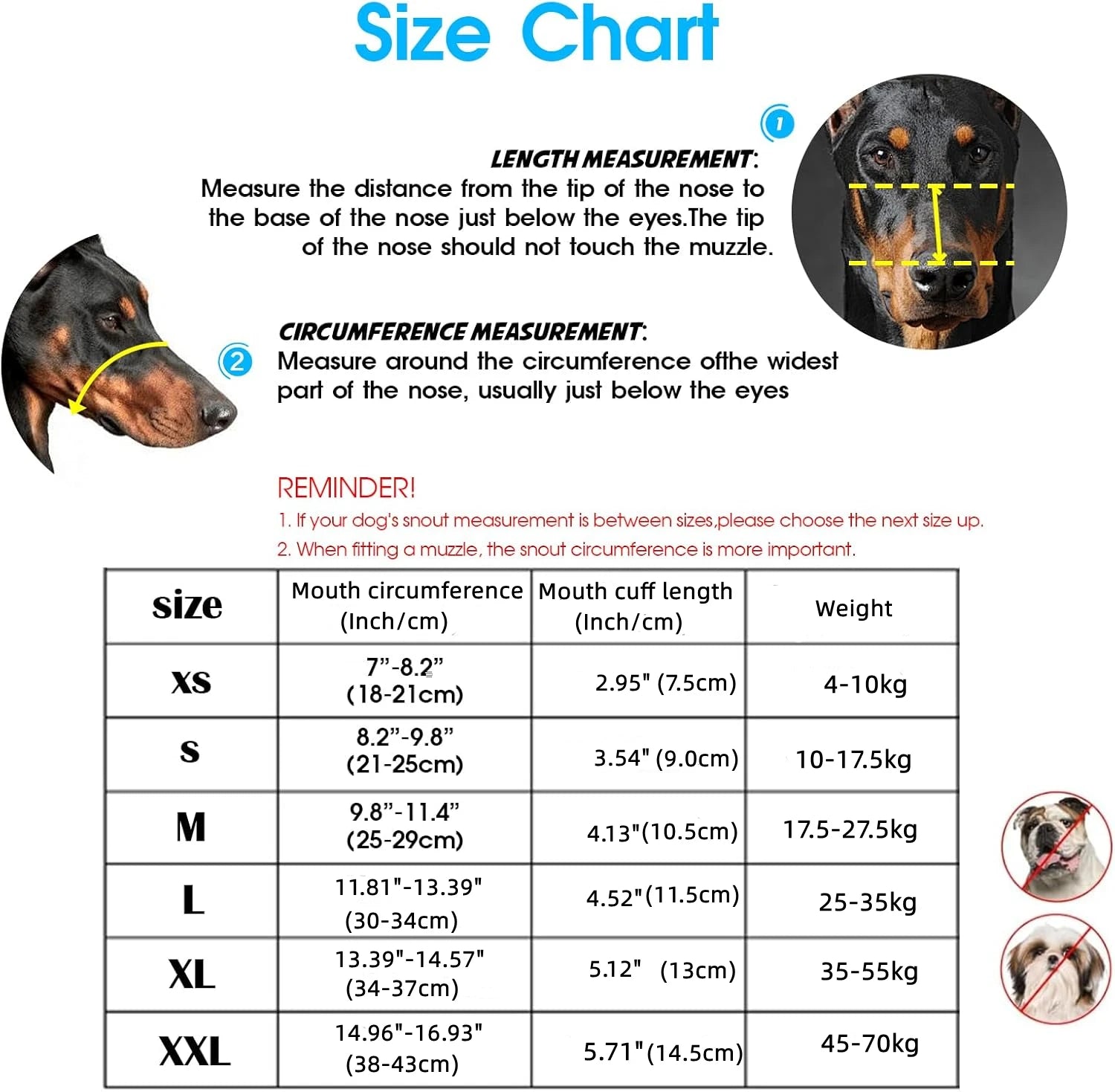 Dog muzzle size chart with measurements and illustrations of a dog's muzzle.