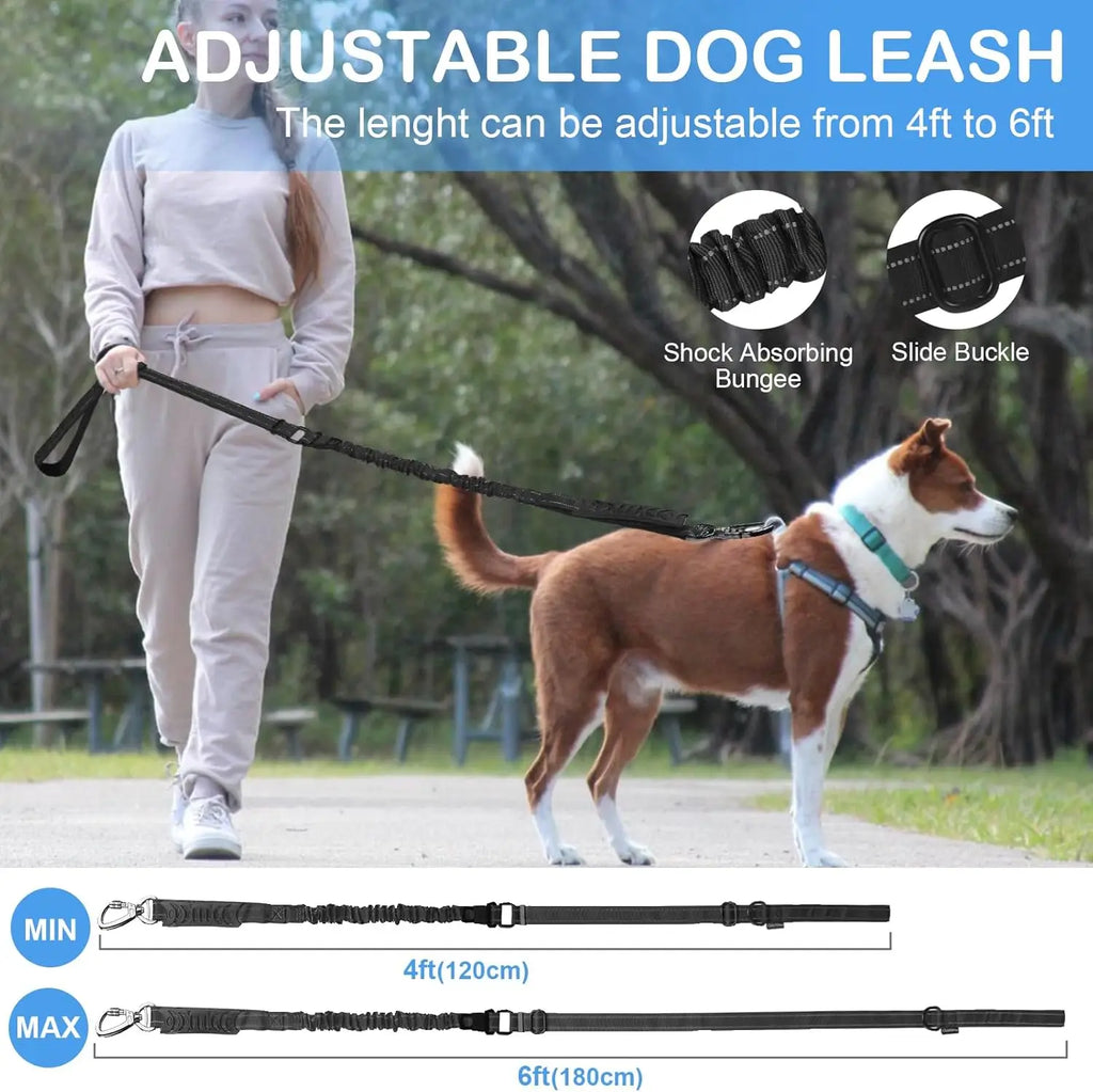 Person walking a dog on an adjustable leash with product features highlighted.