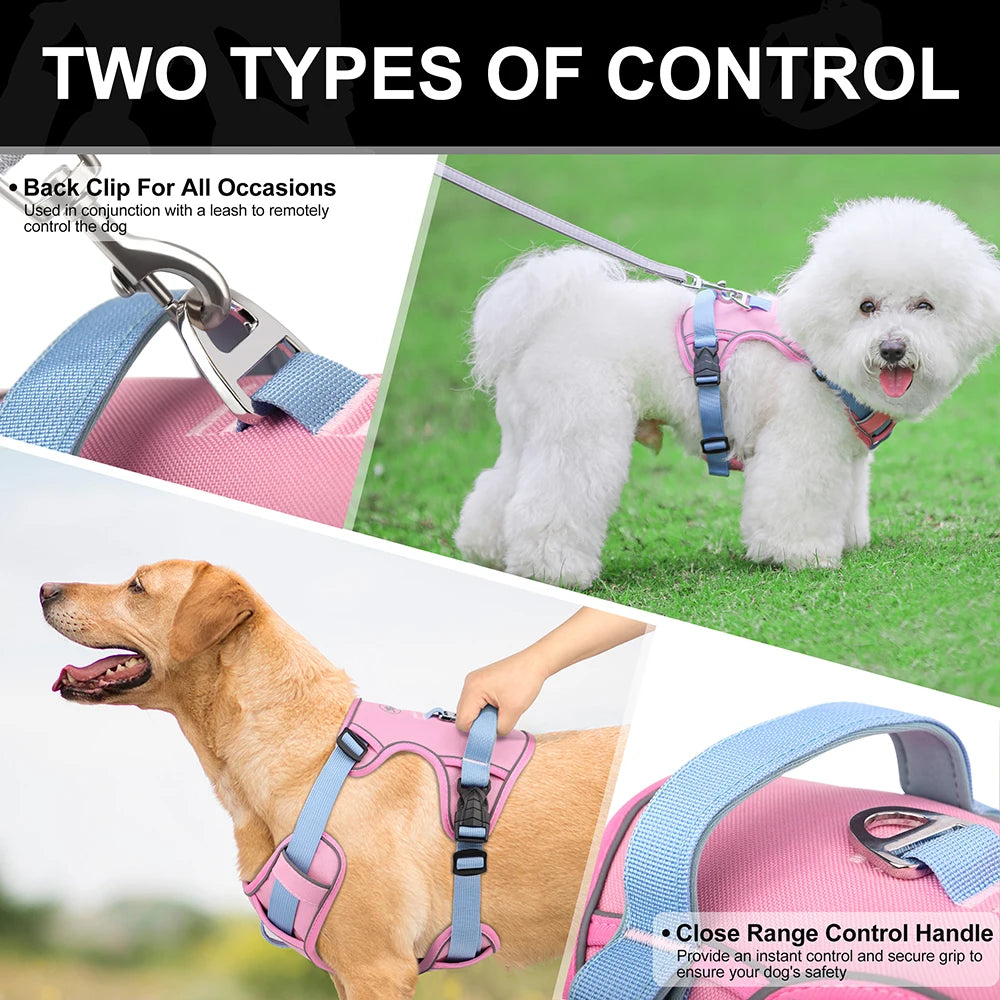 Dog harnesses with back clip and close range control handle on a grassy background.