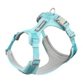 Light blue dog harness with gray padding on a white background