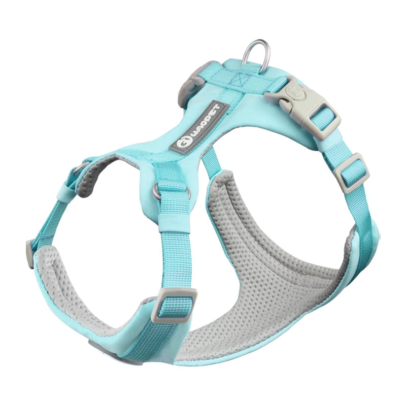 Light blue dog harness with gray padding on a white background