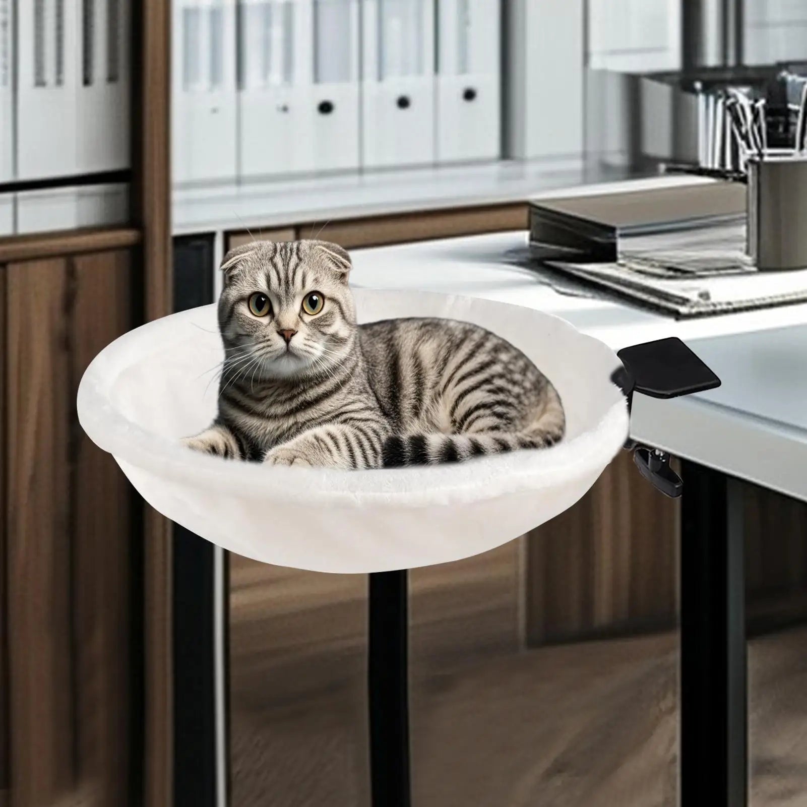 Cat sitting on a white elevated pet bed in an office setting