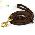 Brown leather dog leash with a gold clasp on a white background