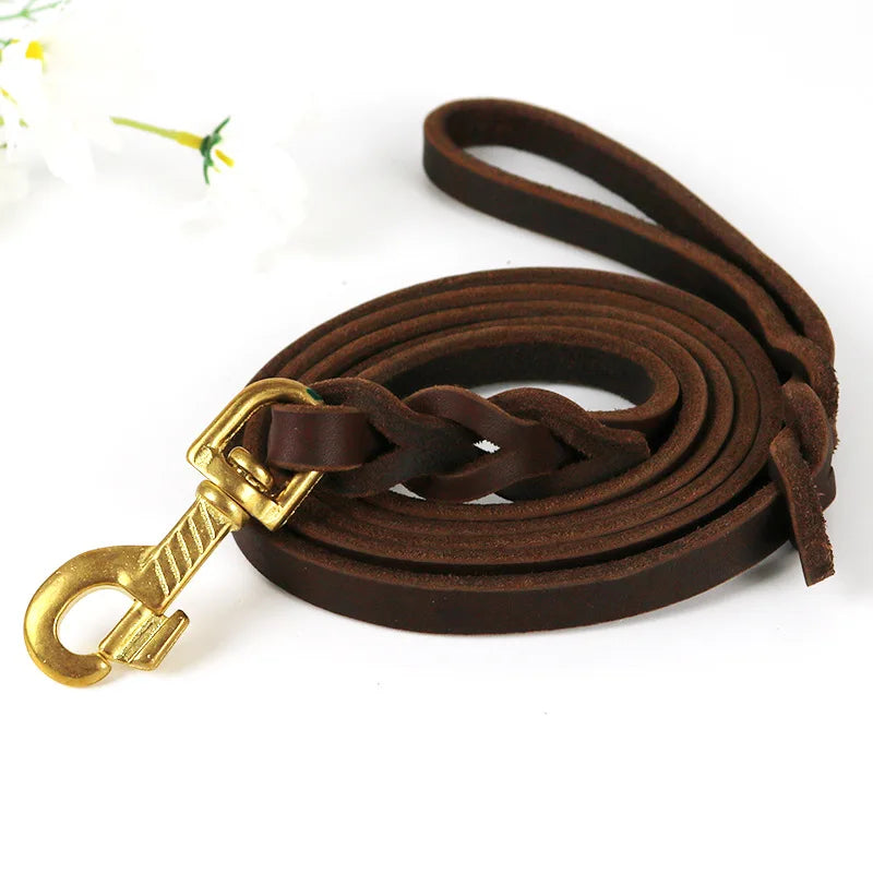 Brown leather dog leash with a gold clasp on a white background