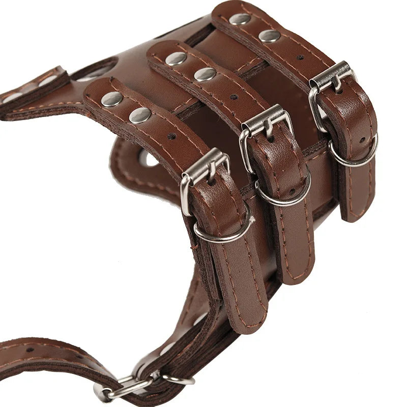 Brown leather bridle with metal buckles on a white background