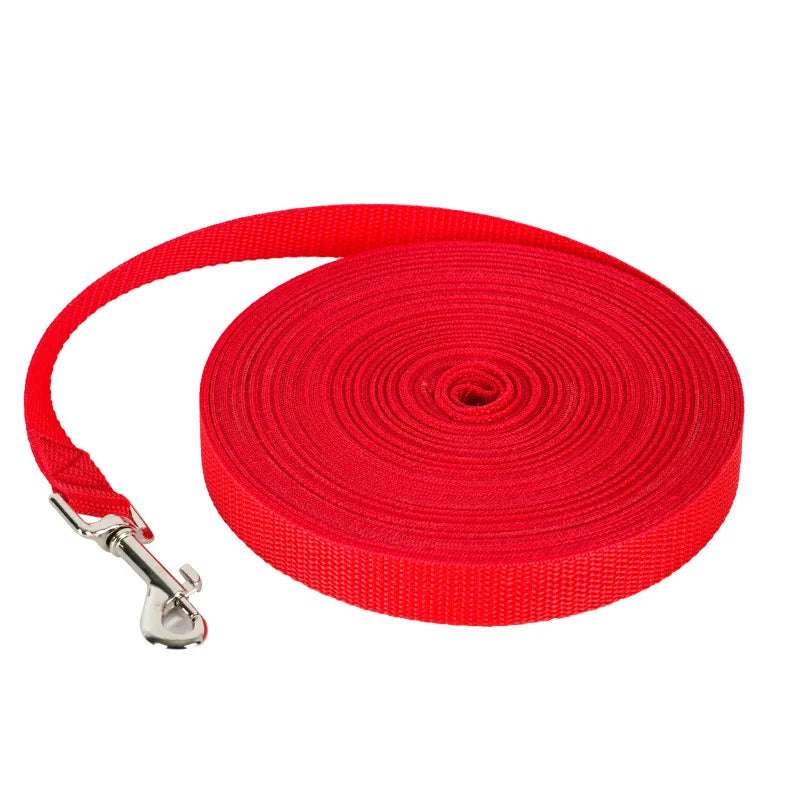 Red dog leash with a metal clip on a white background