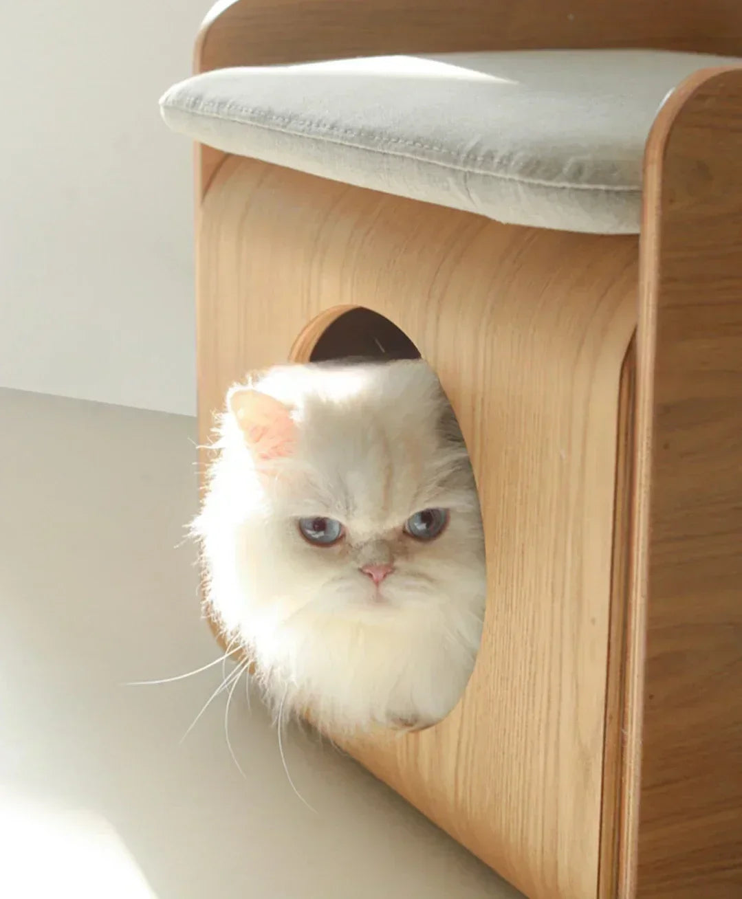Cat peeking out from a wooden cat tree