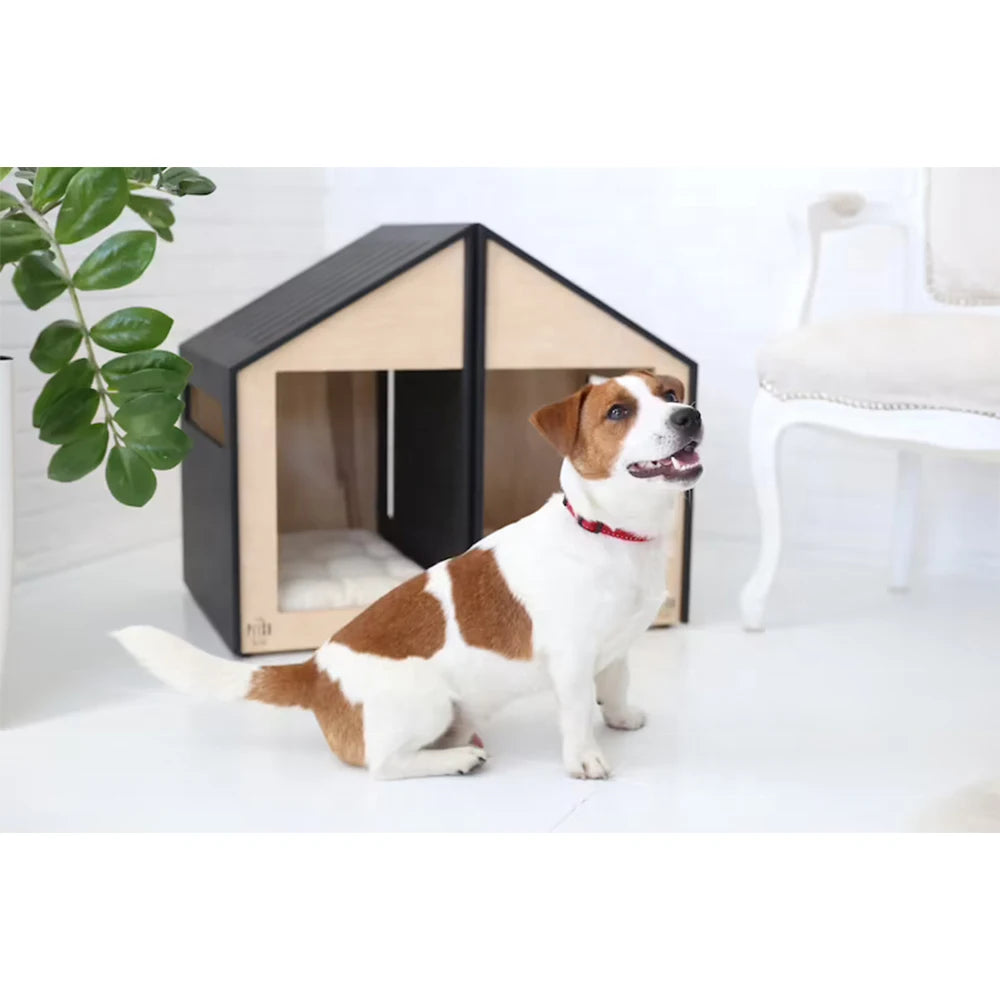 Dog sitting in front of a modern pet house with a plant and chair in the background.