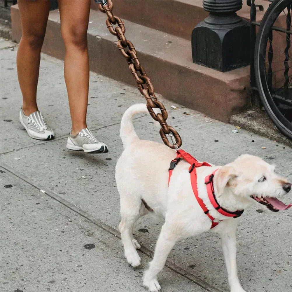 Dog on a leash being walked on a sidewalk with a person's legs visible.
