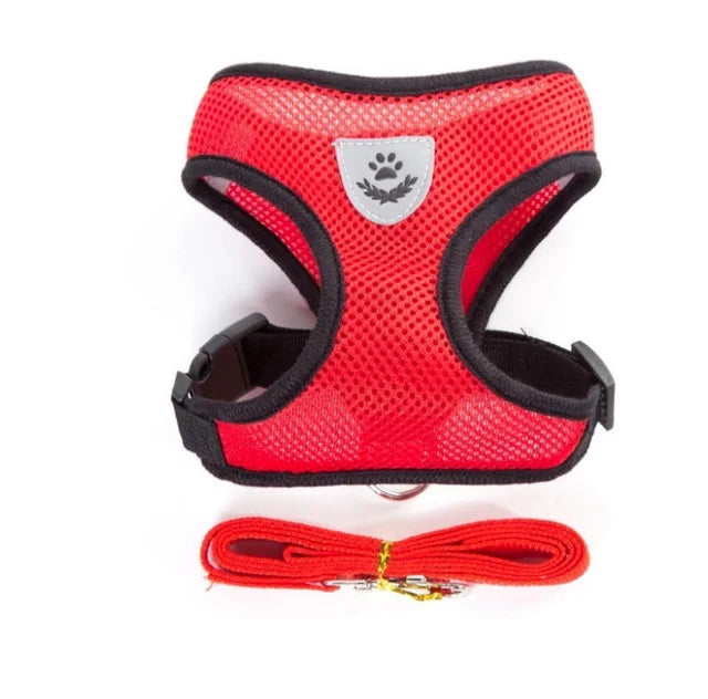 Red dog harness with black straps and a matching leash on a white background
