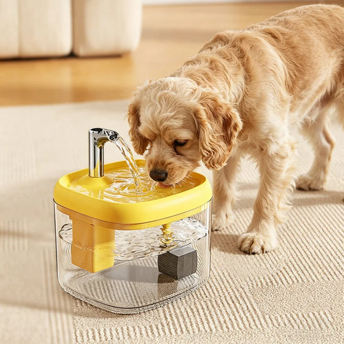 Dog drinking water from a yellow and clear pet fountain on a carpeted floor.