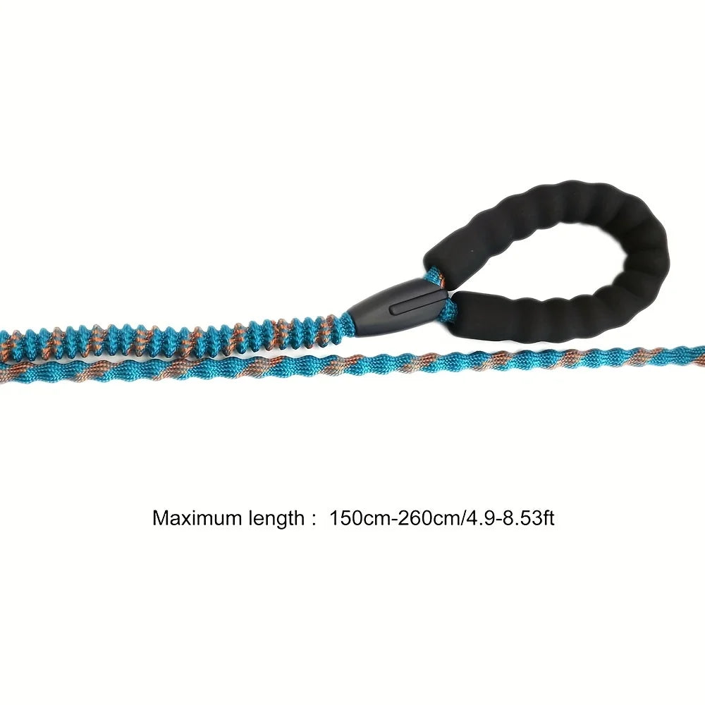 Dog leash with blue and brown braided design on a white background