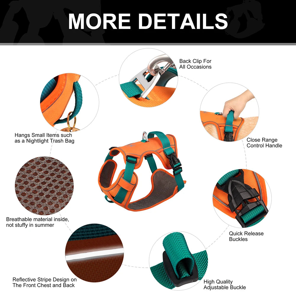 Orange and green dog harness with features highlighted on a white background
