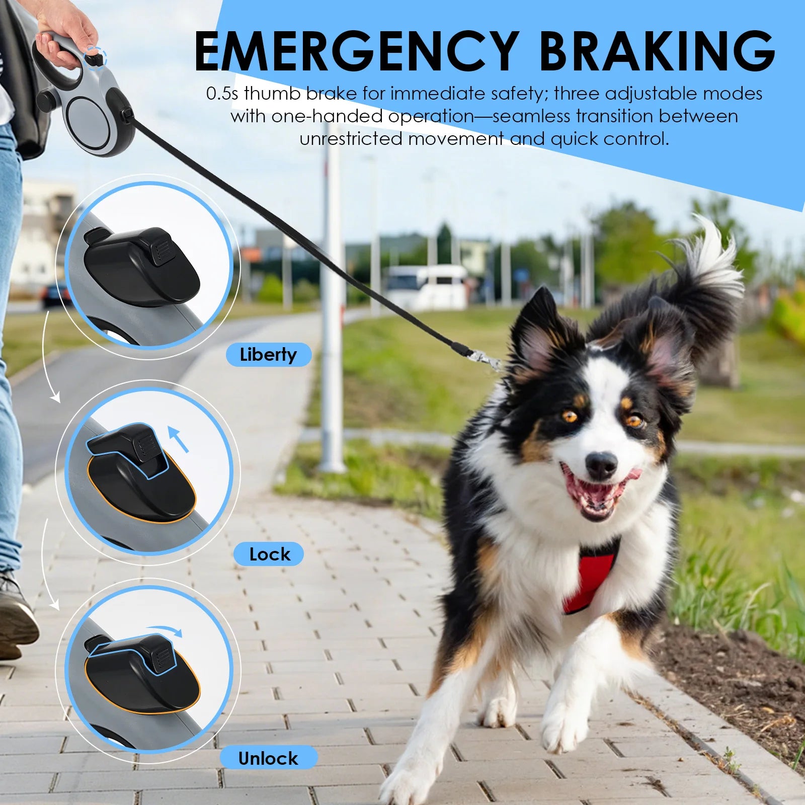 Dog on a leash with emergency braking system features highlighted
