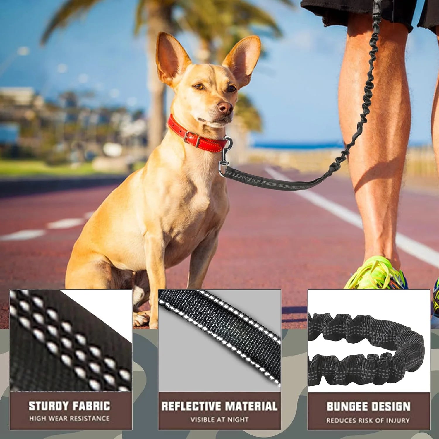 Dog on a leash with close-up details of the leash's features, set against a beach background.