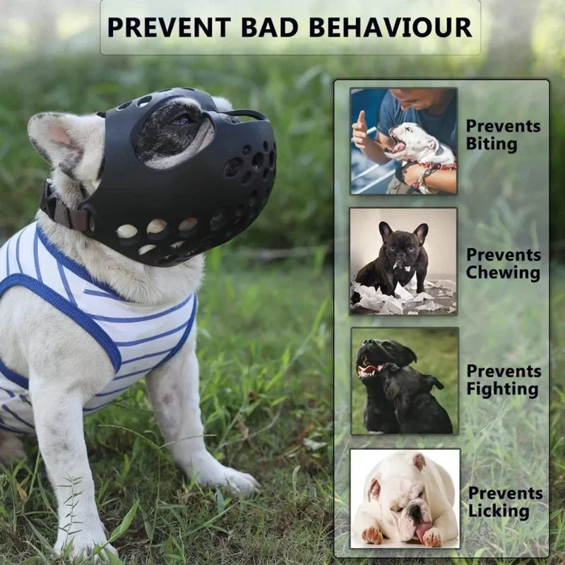Dog wearing a muzzle with text 'Prevent Bad Behaviour' and images showing benefits of muzzle use.