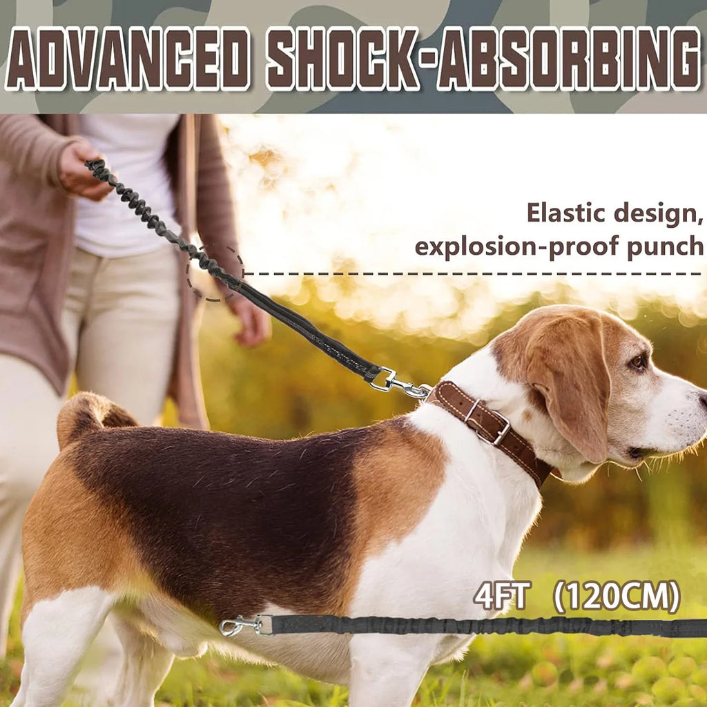 Dog on a leash with text about advanced shock-absorbing design