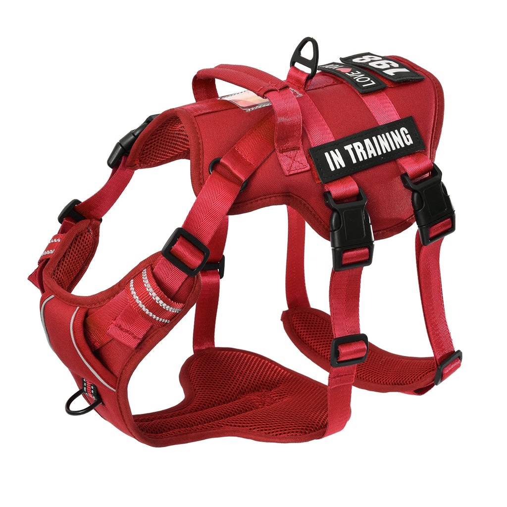 Red dog harness with 'IN TRAINING' label on a white background