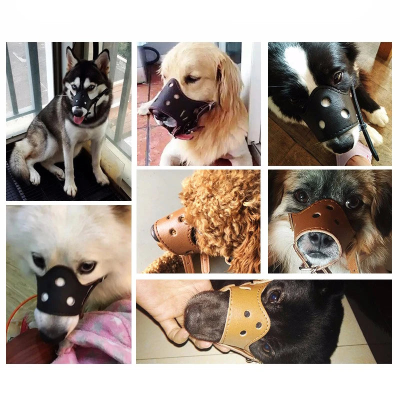 Collage of dogs wearing various types of dog muzzles in different settings.