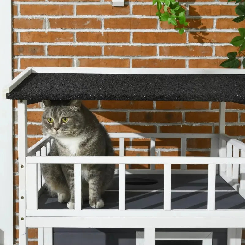 Cat sitting on a white outdoor shelf with a brick wall background