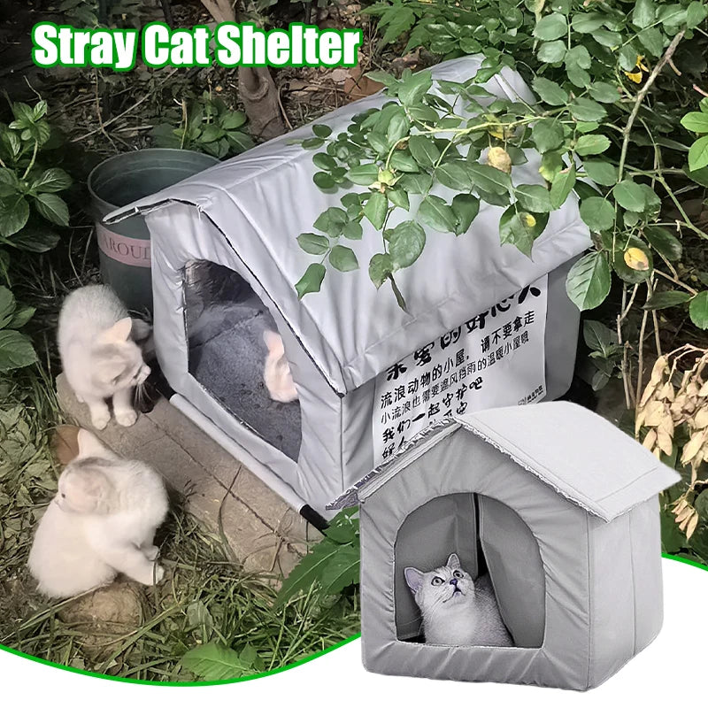 Gray stray cat shelter with cats inside, surrounded by greenery.