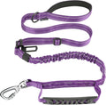 Purple dog leash with carabiner on a white background