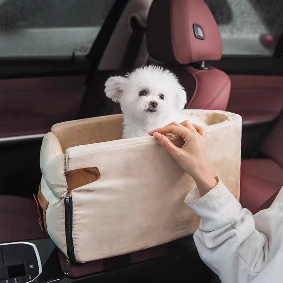 Small white dog in a beige pet carrier inside a car.