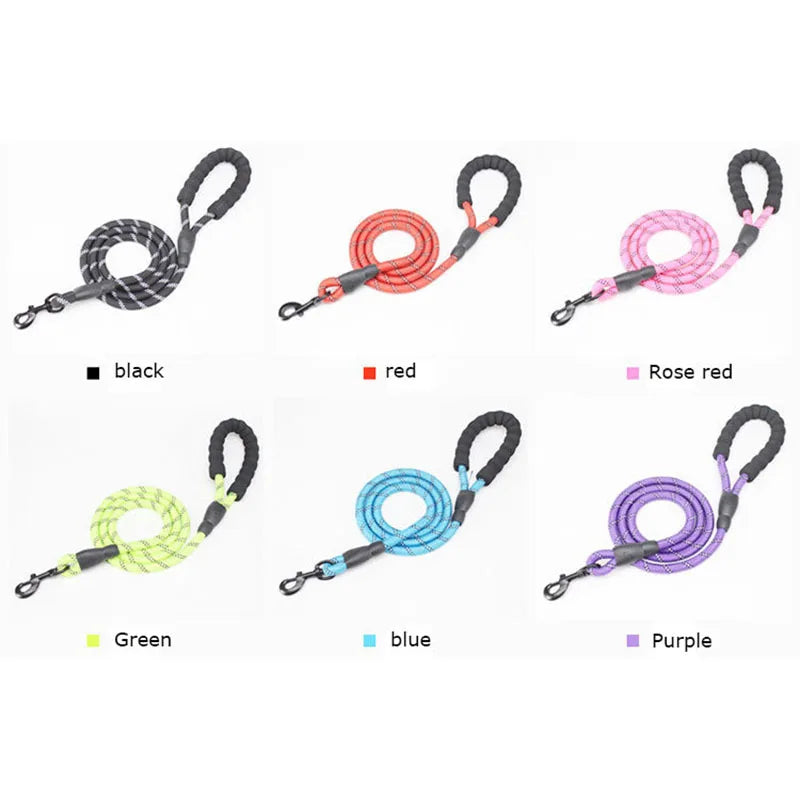 Collection of dog leashes in various colors on a white background
