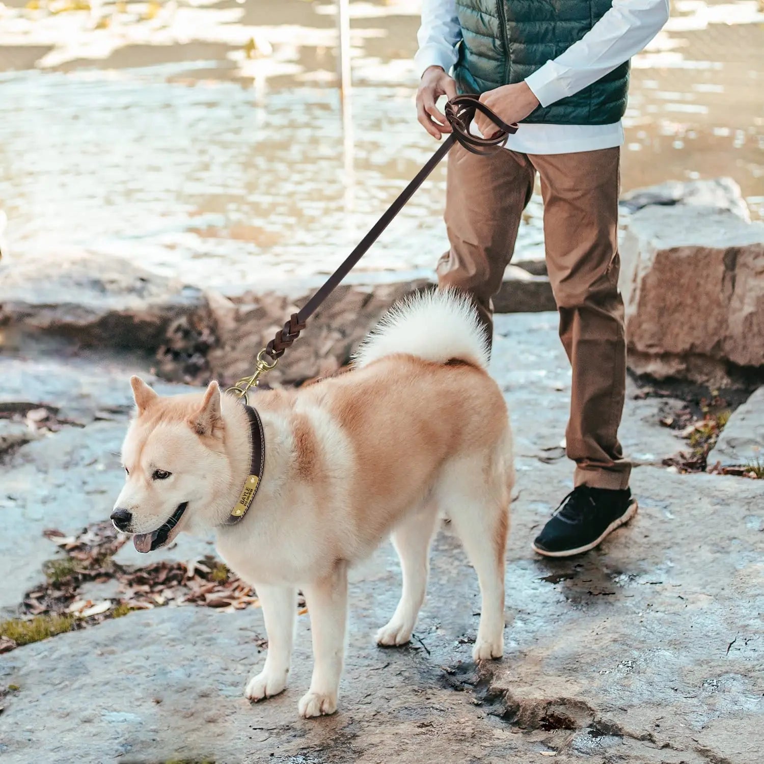 Person walking a dog by a body of water