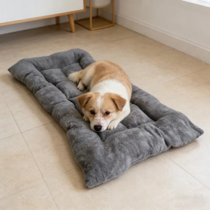 Dog lying on a gray pet bed in a room with light-colored flooring.