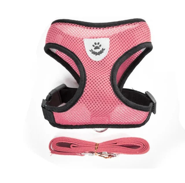 Pink dog harness with black straps and a matching leash on a white background